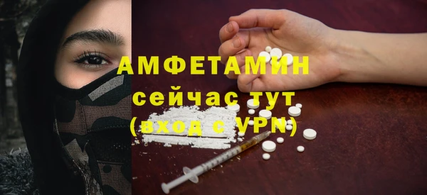 твердый Абаза