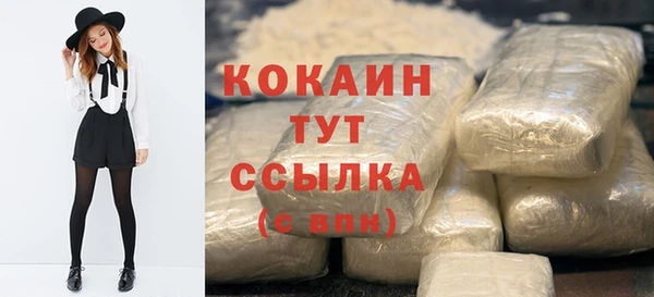 молекула духа Осинники