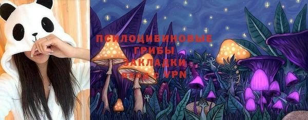 ПСИЛОЦИБИНОВЫЕ ГРИБЫ Алексин