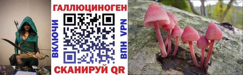 Псилоцибиновые грибы GOLDEN TEACHER  Новомичуринск 